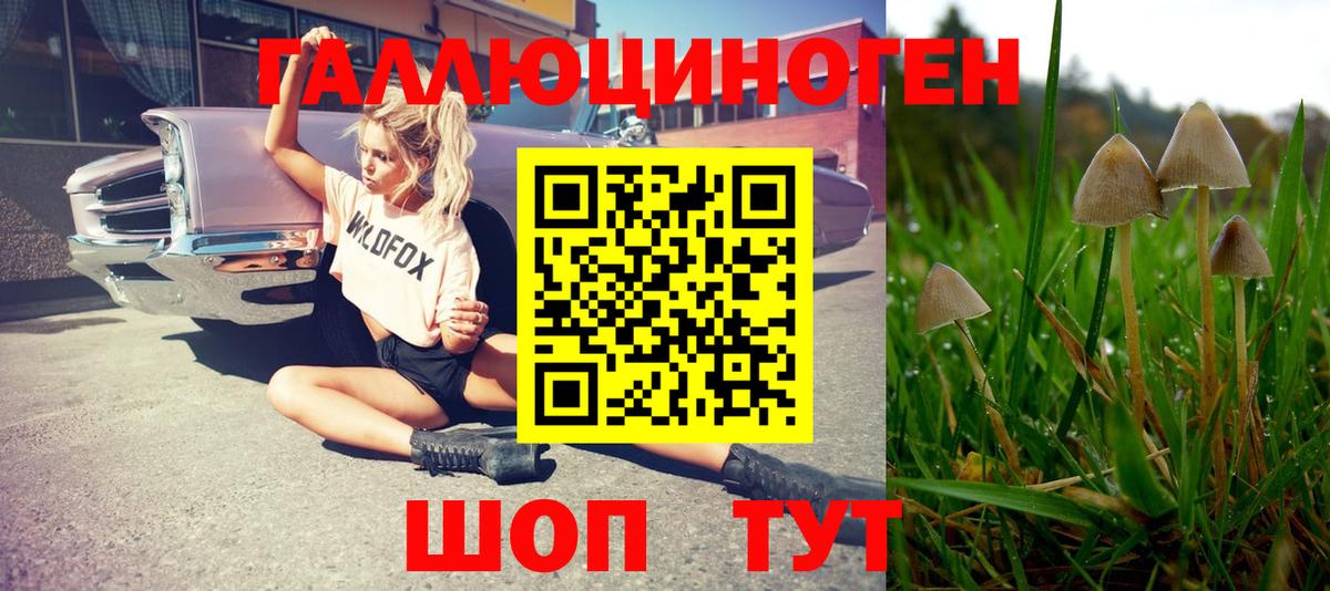 Галлюциногенные грибы мухоморы  Вход с VPN  Гурьевск 